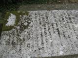 image of grave number 544496
